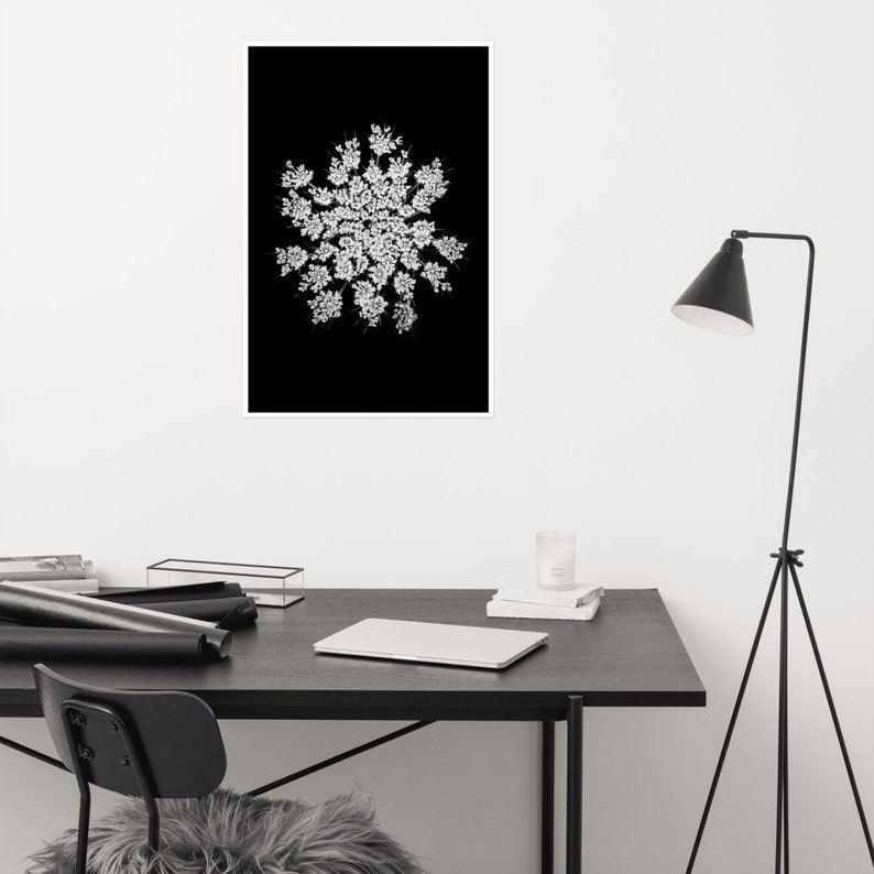 Queen Anne's Lace Wall Art, Black White Botanical Print, Square Poster, Dark Floral Decor, Minimalist Photography, Black White Flower Photo image 2