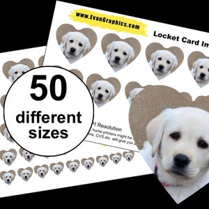 Physical Locket Photos 50 different sizes. Pick up at Walgreens within hours You pay 84 cents in store Mother's Day Birthday image 7
