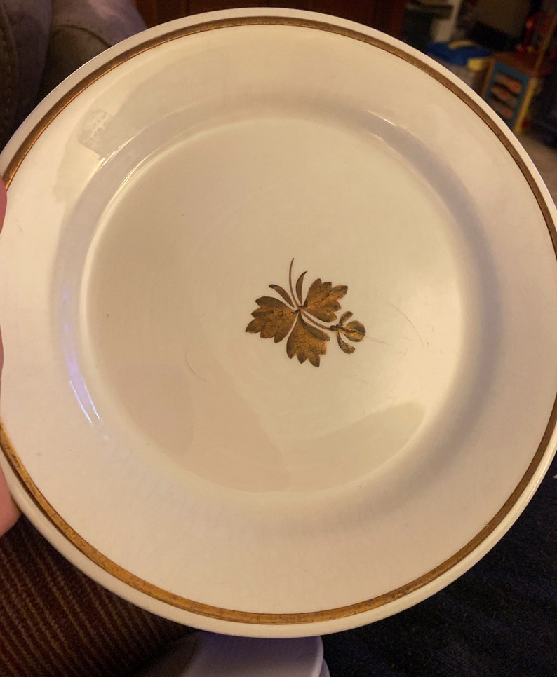 Four Fabulous Alfred Meakin Tea Lead Ironstone Plates Etsy