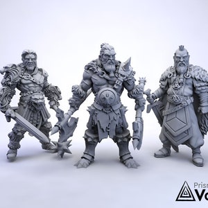 Northern Mercenaries / Fighters / Barbarians - miniatures for Dungeons & Dragons, tabletop RPG