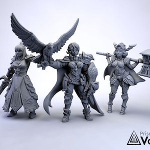 Female Paladins / Knights - miniatures for Dungeons & Dragons, tabletop RPG, Kings of War