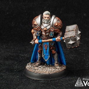 Royal Guard / Paladin / Cleric - miniature for Dungeons & Dragons, tabletop RPG, Kings of War