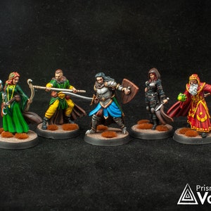 Adventurers Party / Good Heroes - Druid, Monk, Rogue, Fighter, Wizard - miniatures for Dungeons & Dragons, tabletop RPG