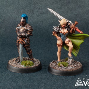 Elven Warrior Princess with a Defender - miniatures for Dungeons & Dragons, tabletop RPG, Kings of War