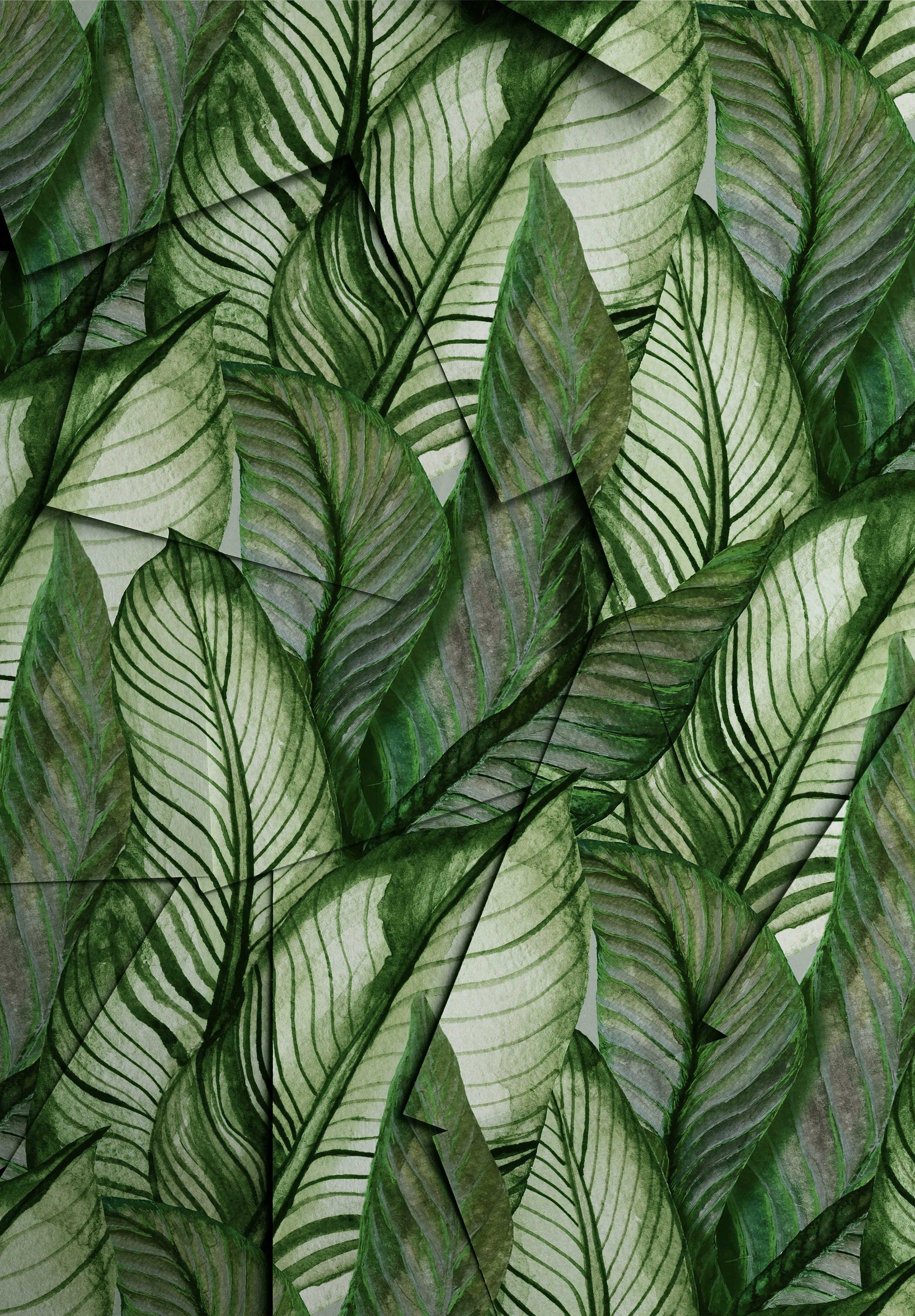 Green Palm Leaves Removable Wallpaper Wall Mural Peel and - Etsy