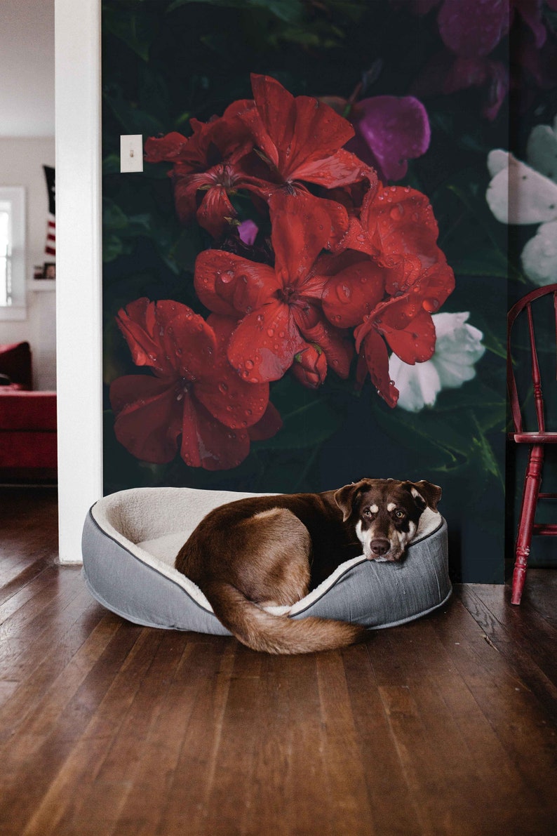 Red Petaled Flower Removable Wallpaper Wall Mural Peel and Etsy