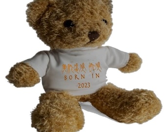 BSL, Born in 2023, Teddy Bear. British Sign Language