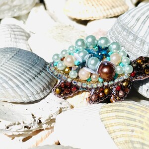 Brown turquoise tortoise brooch
