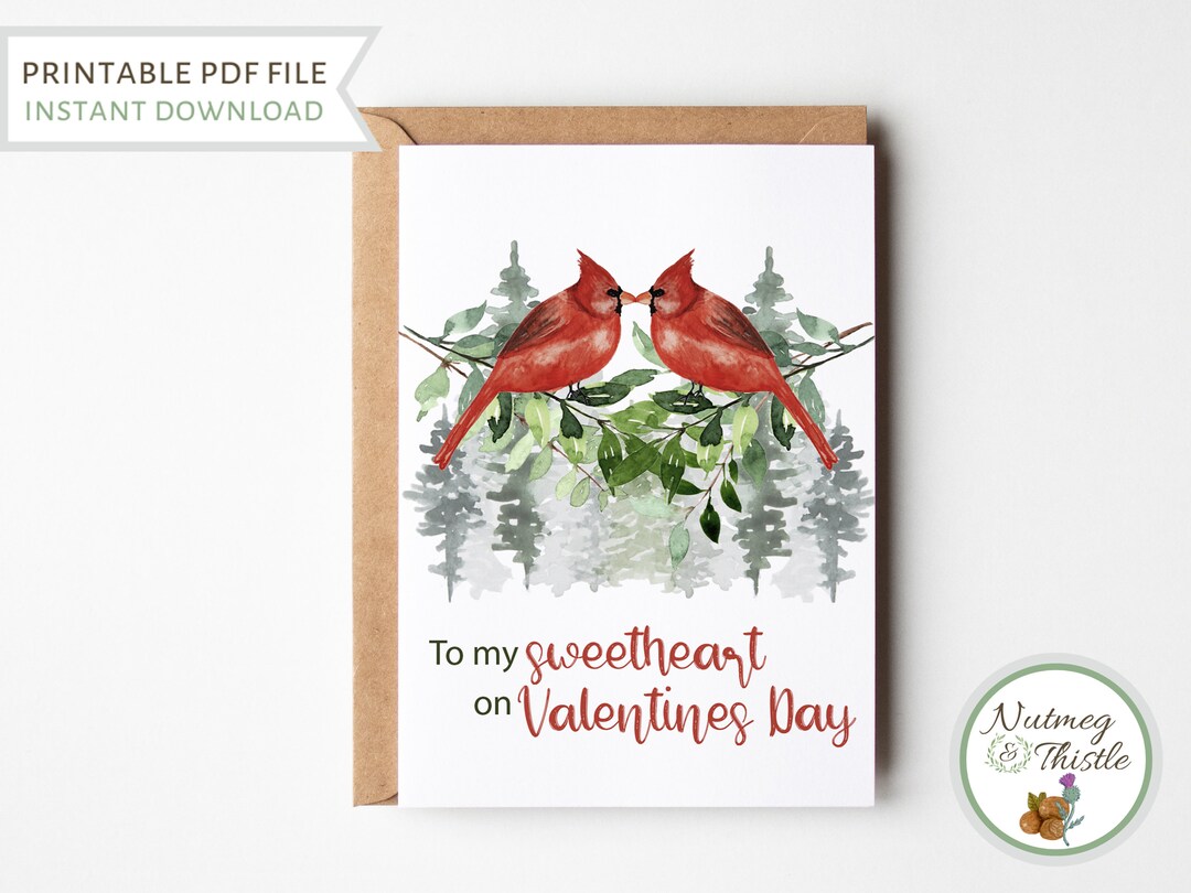 Red Cardinal Valentines Day Card, Romantic Bird Valentines Card for ...