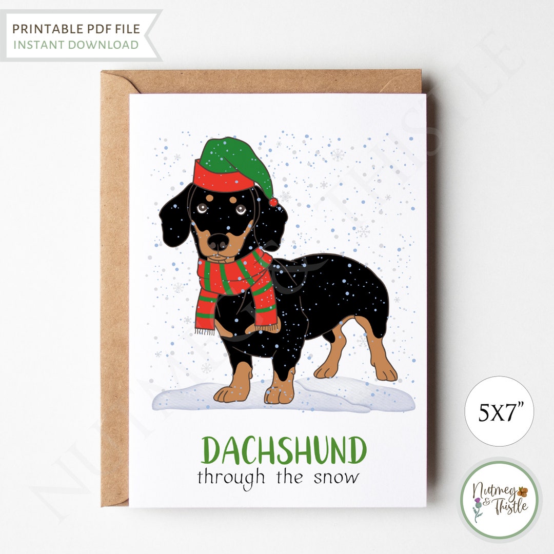 Funny Dachshund Christmas Card, Christmas Dog Funny Holiday Card ...