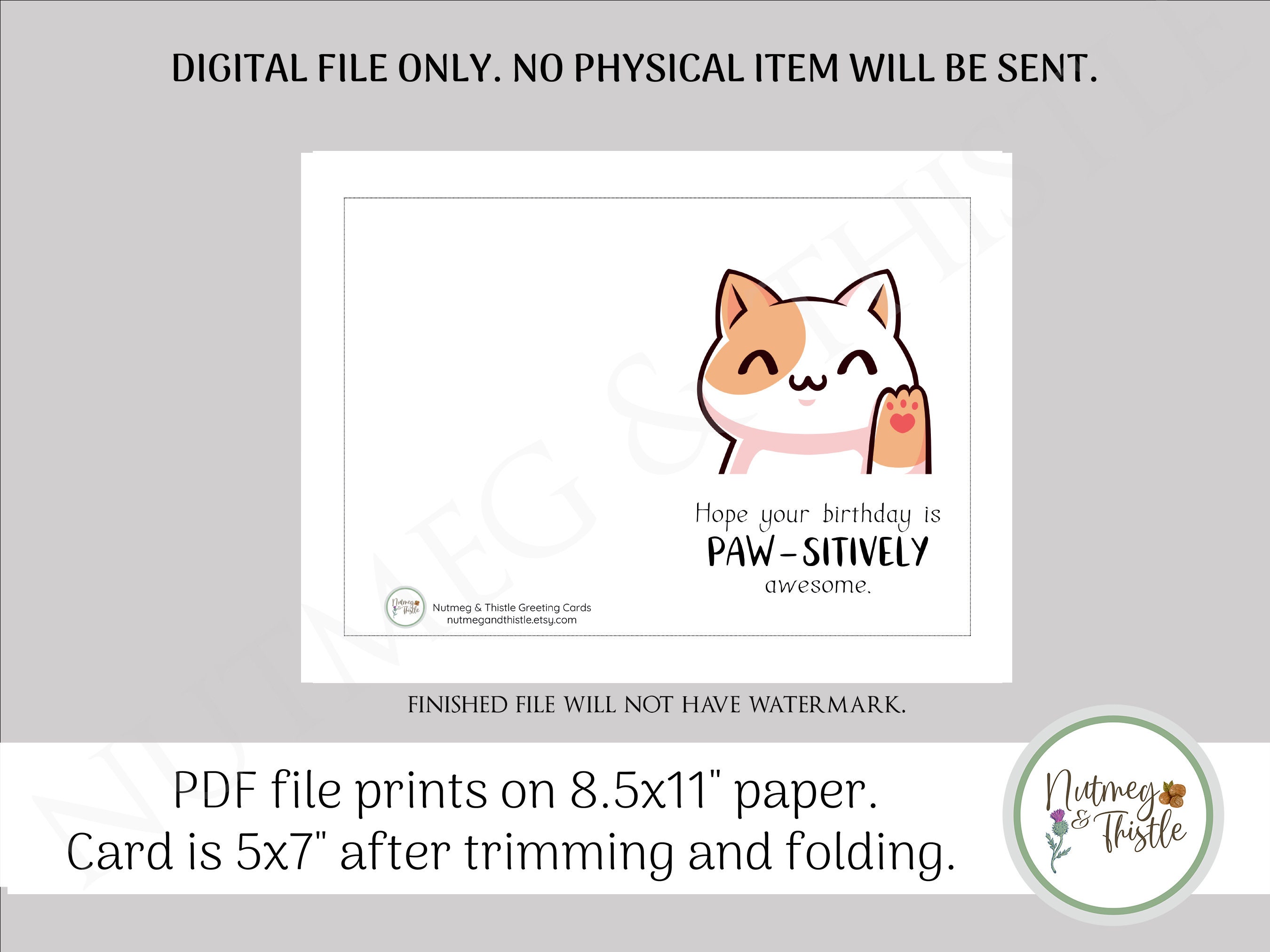 Cute Cat Birthday Card Punny Birthday Card Cat Owner Gift - Etsy