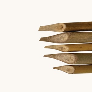 May include: Five bamboo calligraphy pens are shown in close-up. The pens are a natural light brown colour, with a pointed tip. The tips are carved to create a writing surface. The pens are arranged vertically against a white background.
