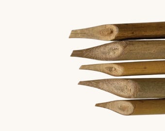 Bamboo Reed Arabic Calligraphy Qalam/Pen (Set of 5 Piece)