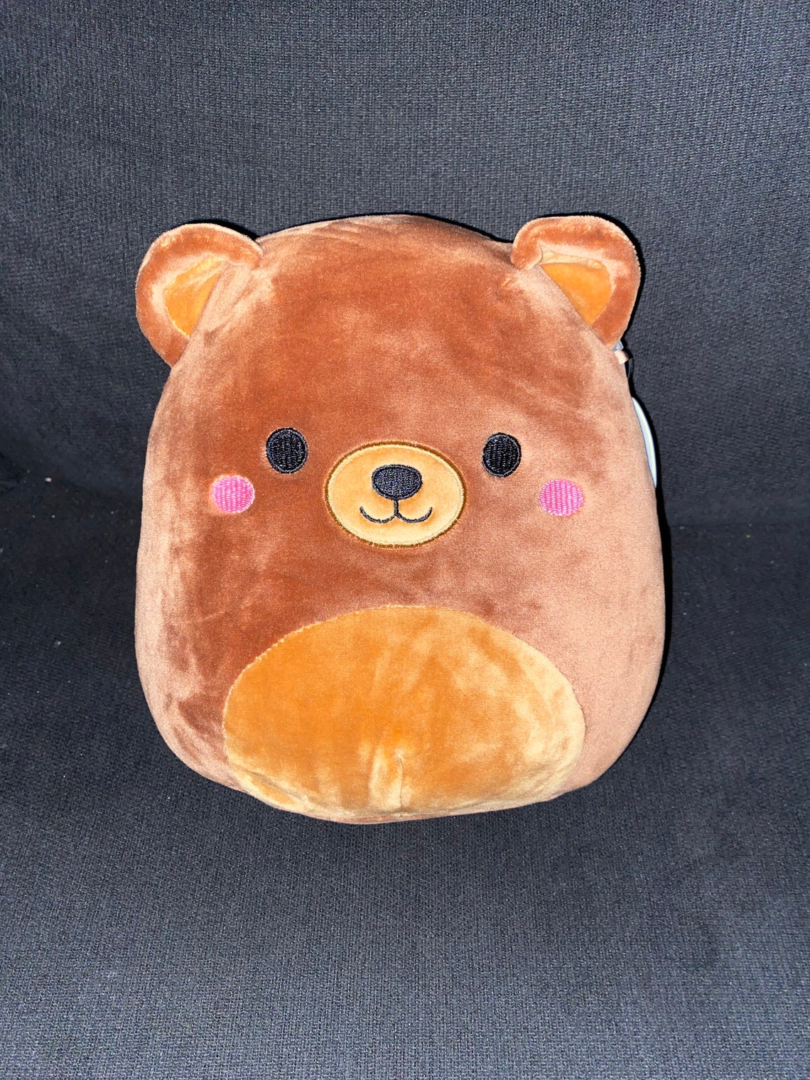 squishmallow witch bear