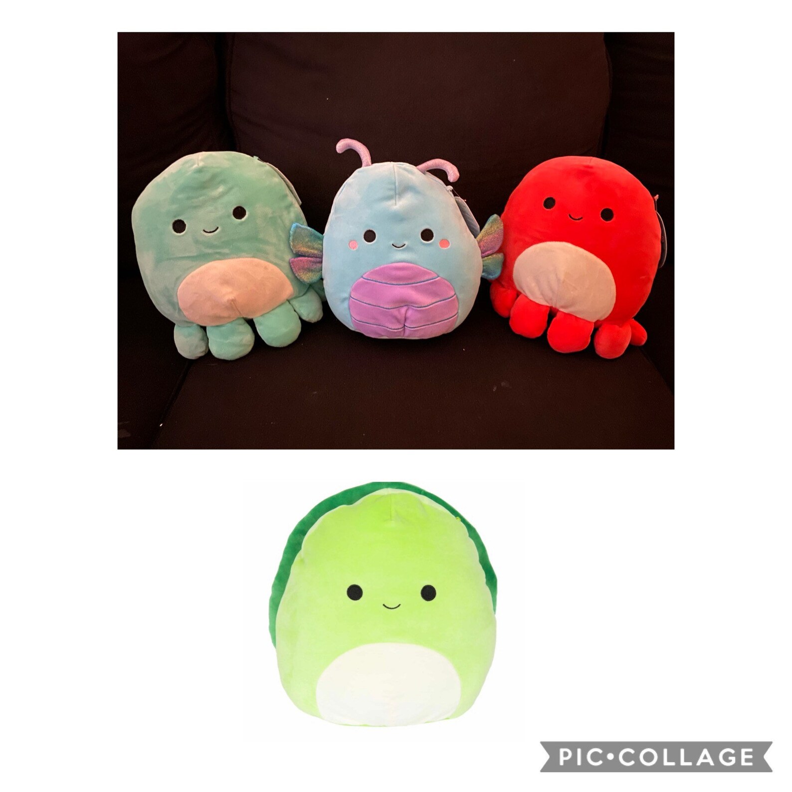Squishmallow New Series 8 inch Turtle Squishmallow Octo | Etsy