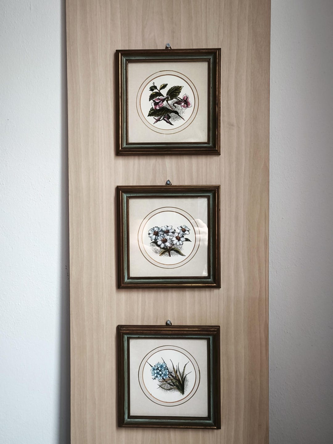 Grassi Decor Hand-colored Botanical Prints Set – Framed Florentine Art Trio ...