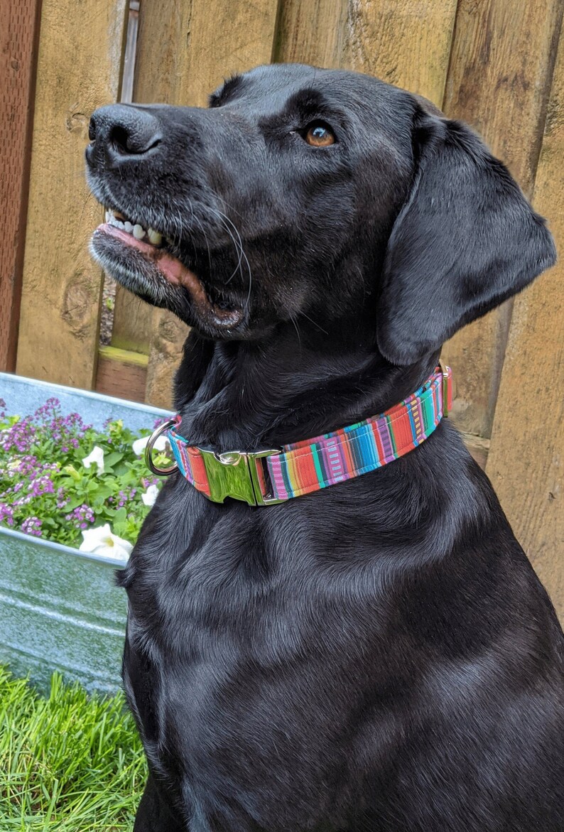 Handmade Adjustable Unique Mexican Sunrise Dog Collar
