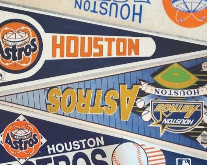 1960’s Vintage Houston Astros Texas Astrodome Pennant Baseball Mlb ...