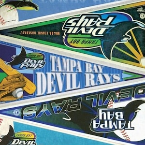 Tampa Bay Rays vintage pennant print 15 by 24, 11 by 17