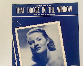 Vintage Otagiri Puppies Music Box how Much is That Doggie in the Window ...
