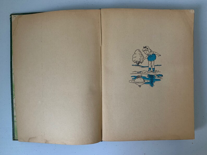 Puede incluir: Un libro abierto con una cubierta verde. La p&aacute;gina derecha tiene una ilustraci&oacute;n en blanco y negro de una ni&ntilde;a con un vestido azul de pie junto a un charco de agua. Una peque&ntilde;a tortuga est&aacute; en el charco.