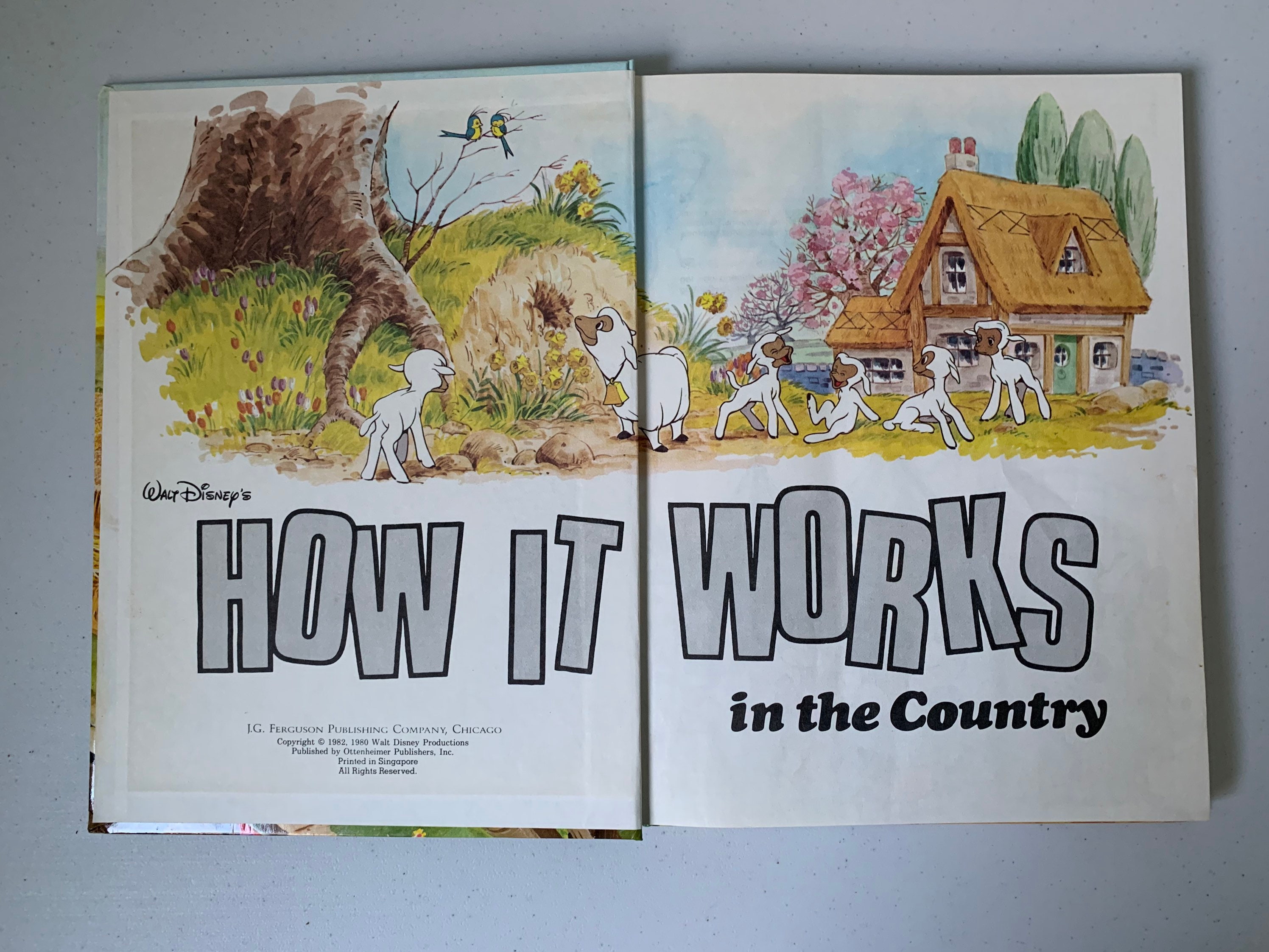 Vintage Walt Disney's How It Works in the Country, 1982 Walt