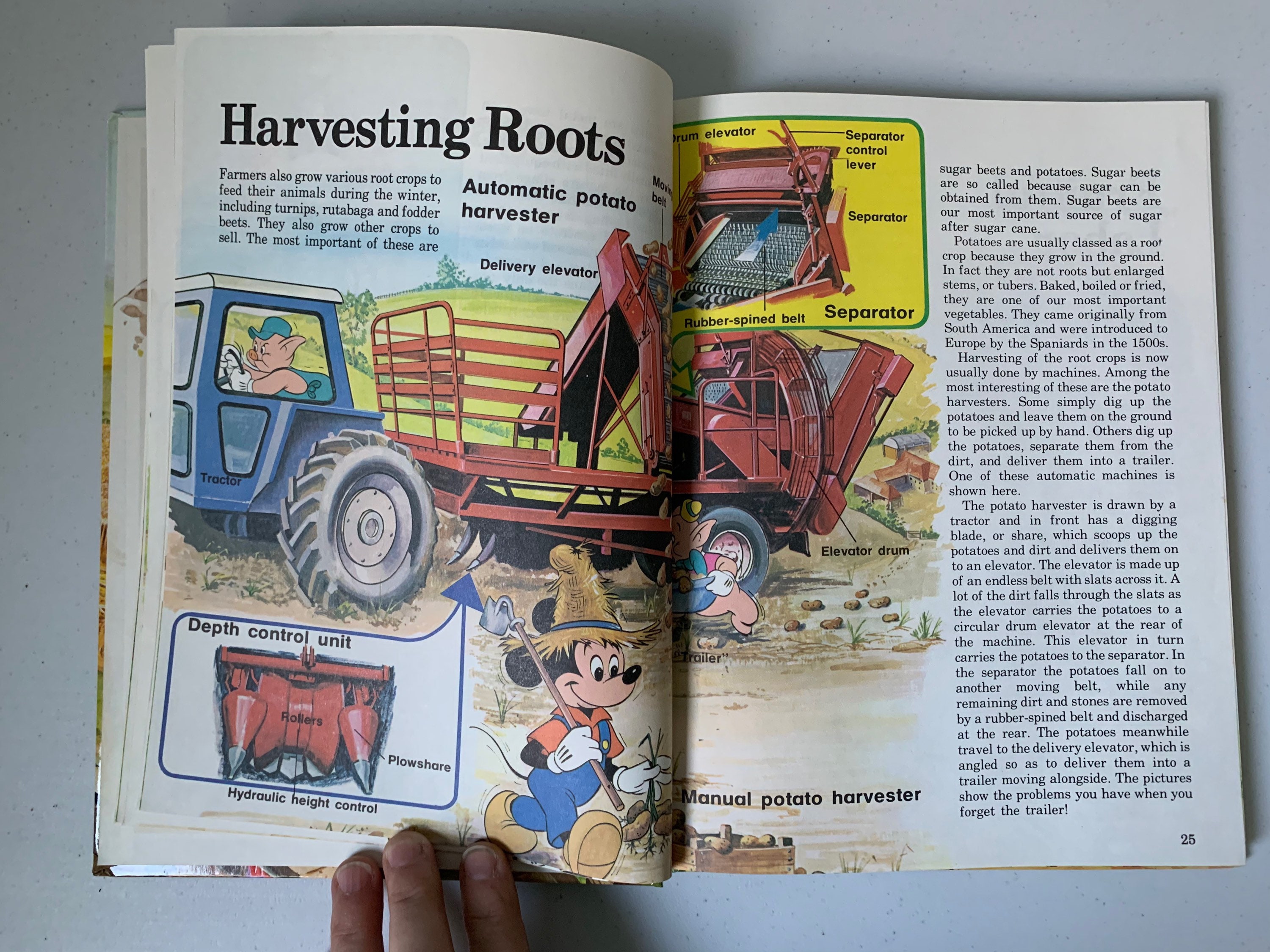 Vintage Walt Disney's How It Works in the Country, 1982 Walt