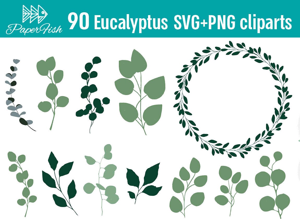 Eucalyptus Leaves SVG