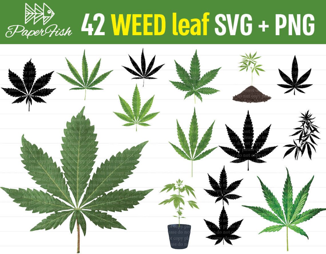 Download HUGE BUNDLE Weed Cannabis cliparts SVG png clipart more ...