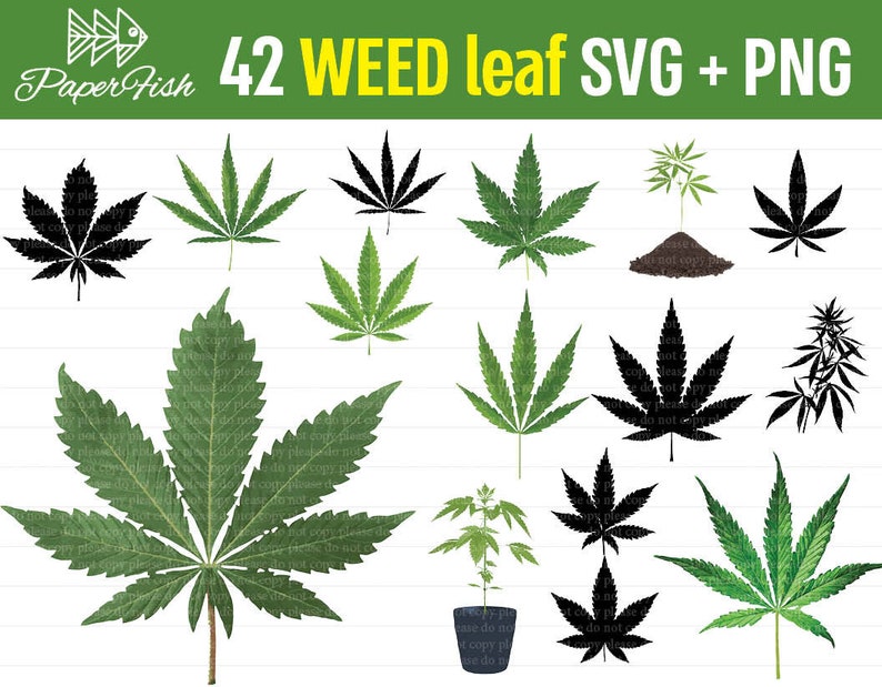 Download HUGE BUNDLE Weed Cannabis cliparts SVG png clipart more ...