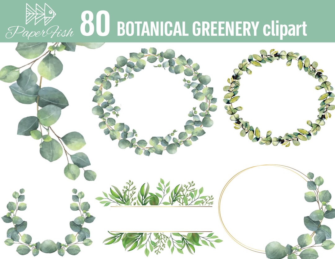 80 Watercolor Gold Frame Clipart Eucalyptus Vintage Greenery Wreath ...