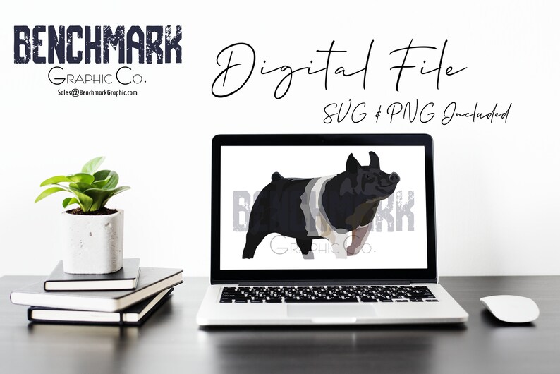 Hampshire Pig Show Pig Livestock Clipart Graphic Belted Pig Digital File