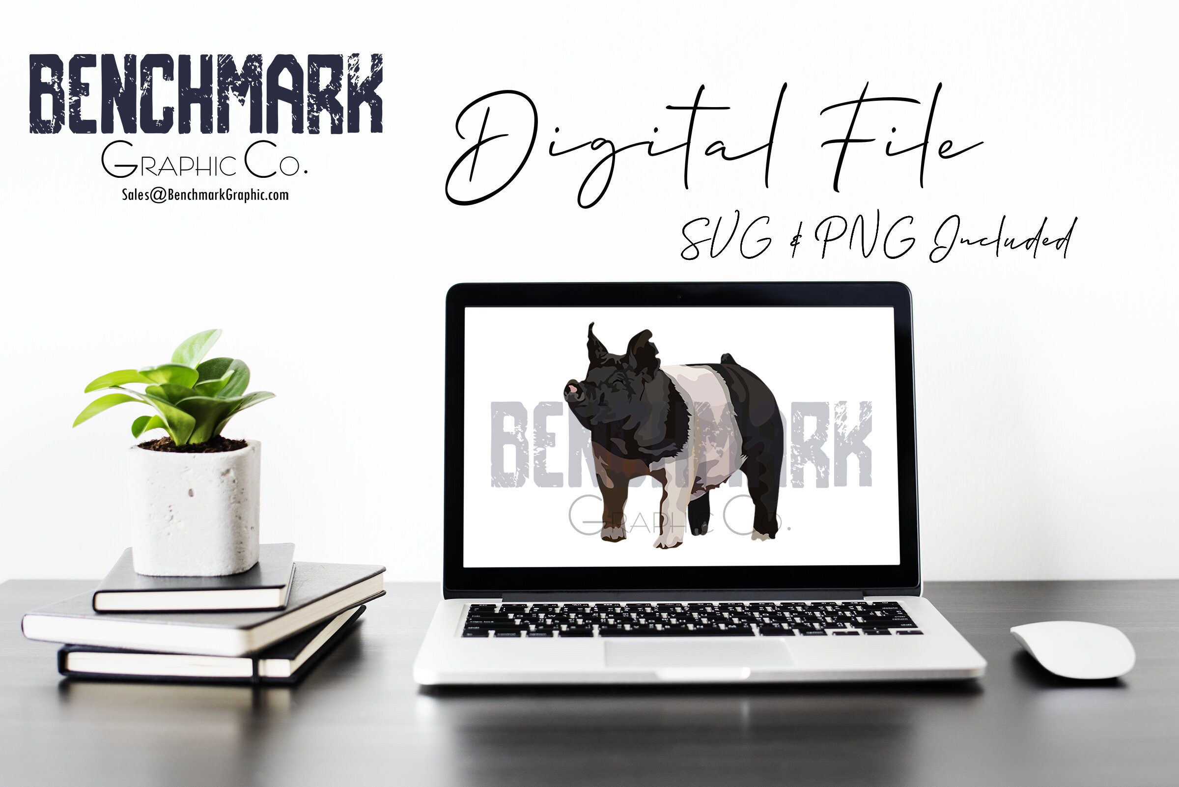 Is The Hampshire Pig The Future Of Meat Production? - evl3qs3