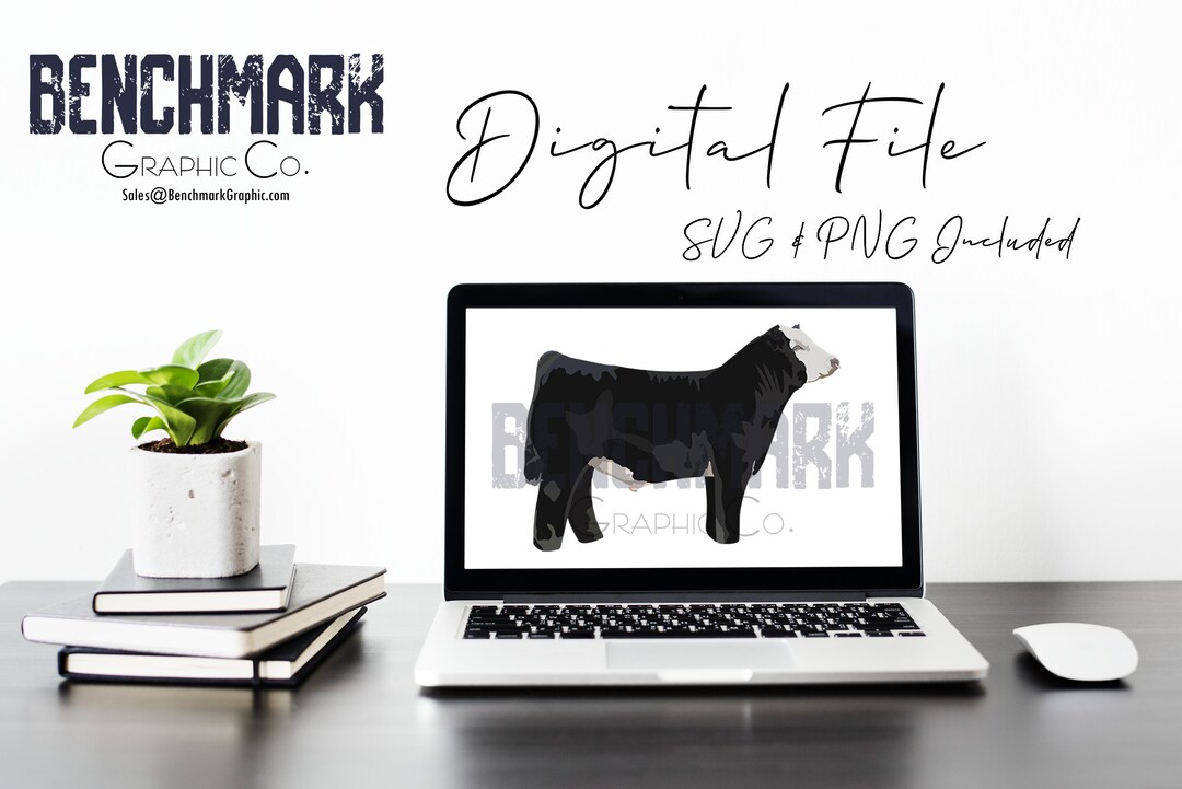 Simmental Bull Show Cattle Livestock Clipart Graphic Digital File ...