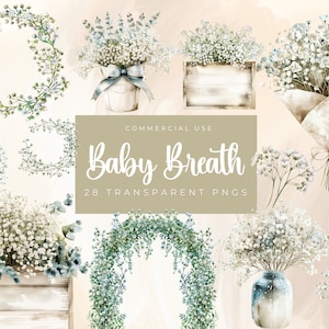 Salie groene baby's adem aquarel png clipart, gipskruid bloemen, bruiloft uitnodiging clipart, aquarel bloem png, ongewenste dagboek