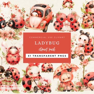 Clipart coccinella acquerello, Png insetti, Download digitale, Png coccinella, Decorazione della scuola materna, Uso commerciale, Amante delle coccinelle, Compleanno Baby Shower