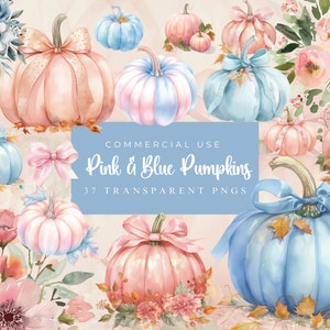 Roze en blauwe pompoen clipart, pastel pompoen clipart, pompoenen en bloemen png, gender Reveal clipart, pastel Halloween