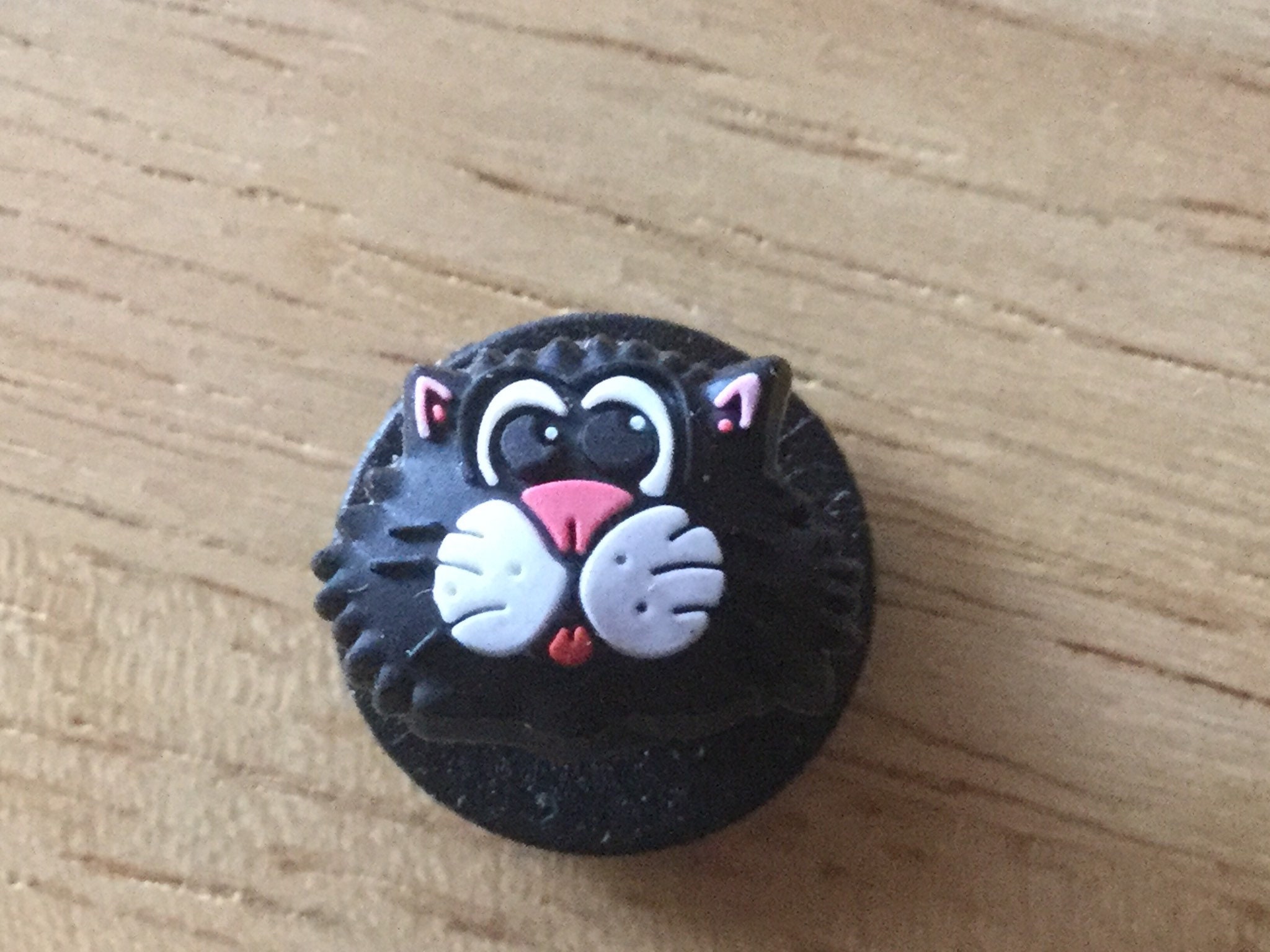 cat croc jibbitz