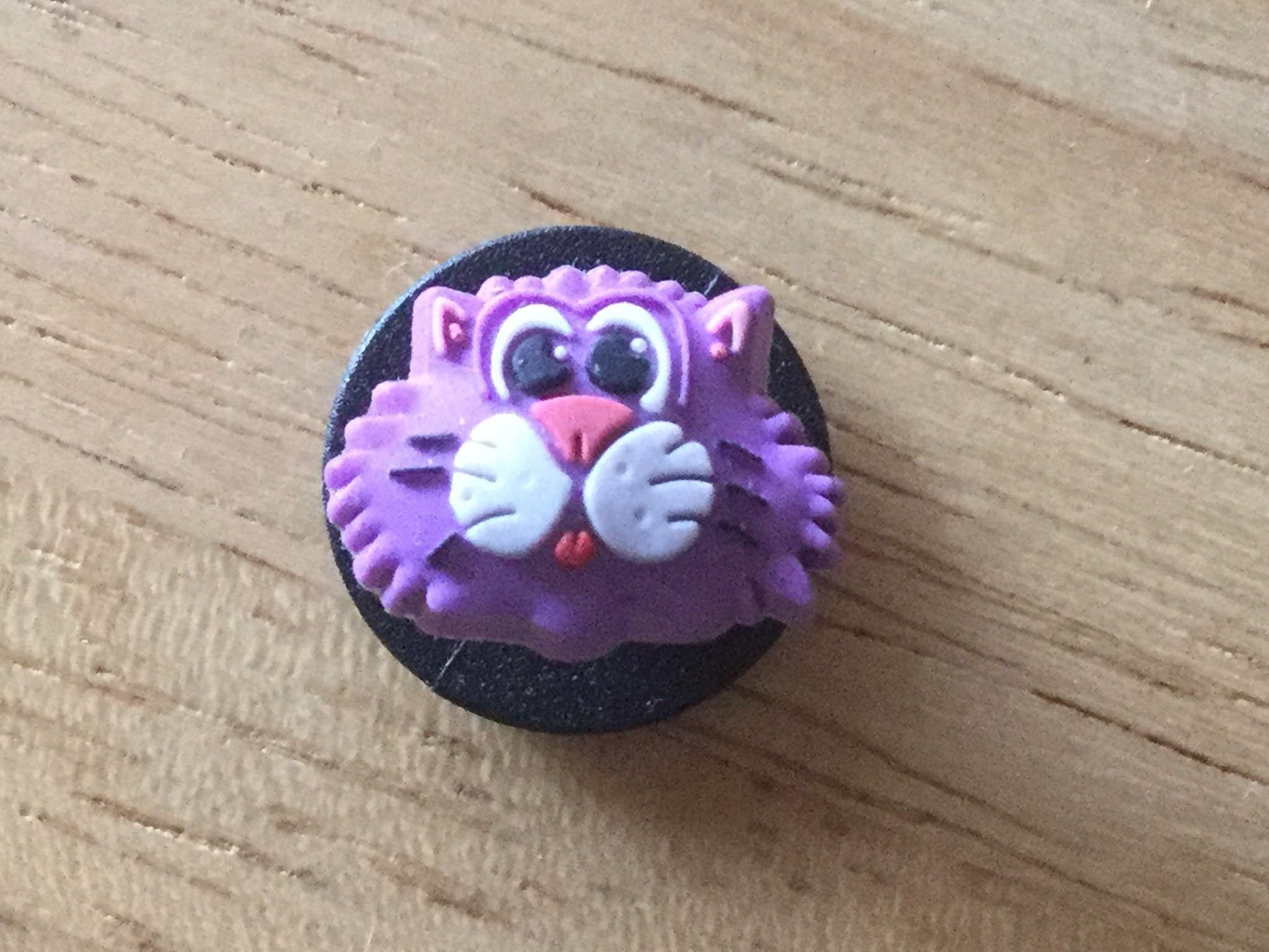 cat jibbitz for crocs