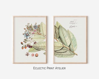 Vintage Floral Art Prints, Set of two, Digital Download, Essential Decor for Farmhouse, Cottage, or Apartment.