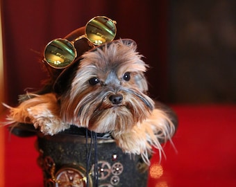 Occhiali da sole per cani di piccola taglia, costumi di Halloween per animali domestici, stile Harry