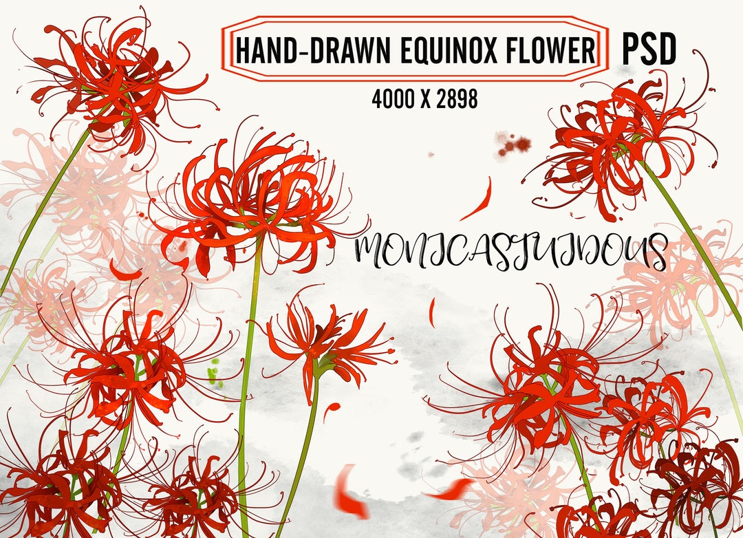絵画 Ruby-red Flowers Original Creation Hand-drawn Equinox Flower PSD , Watercolor