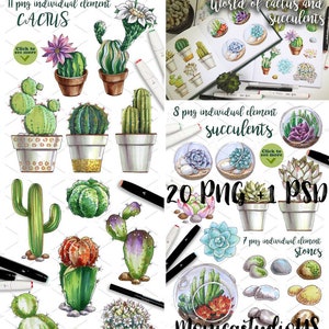 Aquarelle Succulentes et terrariums en verre de cactus. Téléchargement instantané, clipart Cactus. Clipart peint à la main, clipart plantes grasses, Digital Clipart