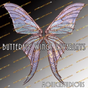 Photo Overlays/ 3 pearl discoloration color Butterfly wings overlay /3 FAIRY WINGS/High Resolution, Photo Overlay, PNG Clipart,Digital wings