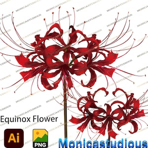 春分の花 PNG/Ai、オリジナル作品の赤いクモユリ PNG、ラジアータ レッド マジック リリー、赤いクモユリ PSD、イラストレーター、ウォール アート、プリント