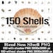 300 Seashell Photoshop Overlays, Seashell Overlay, Shell, Beach, Water ...