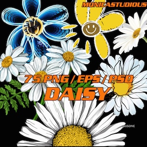 Daisy flor png / psd/eps paquetes Girasol PNG Floral Flor de boda EPS Daisy clipart/Archivos de corte para Cricut Daisy monograma png,Media margarita