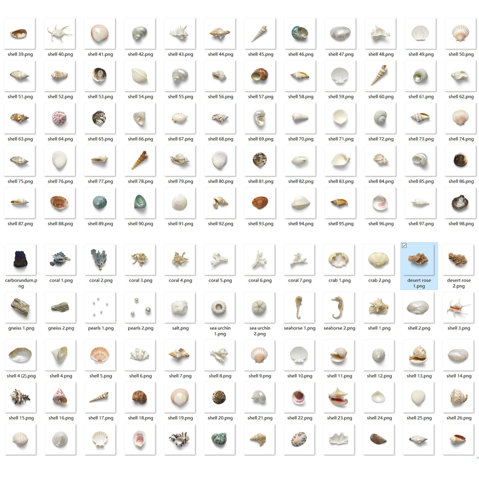 300 Seashell Photoshop Overlays, Seashell Overlay, Shell, Beach, Water ...