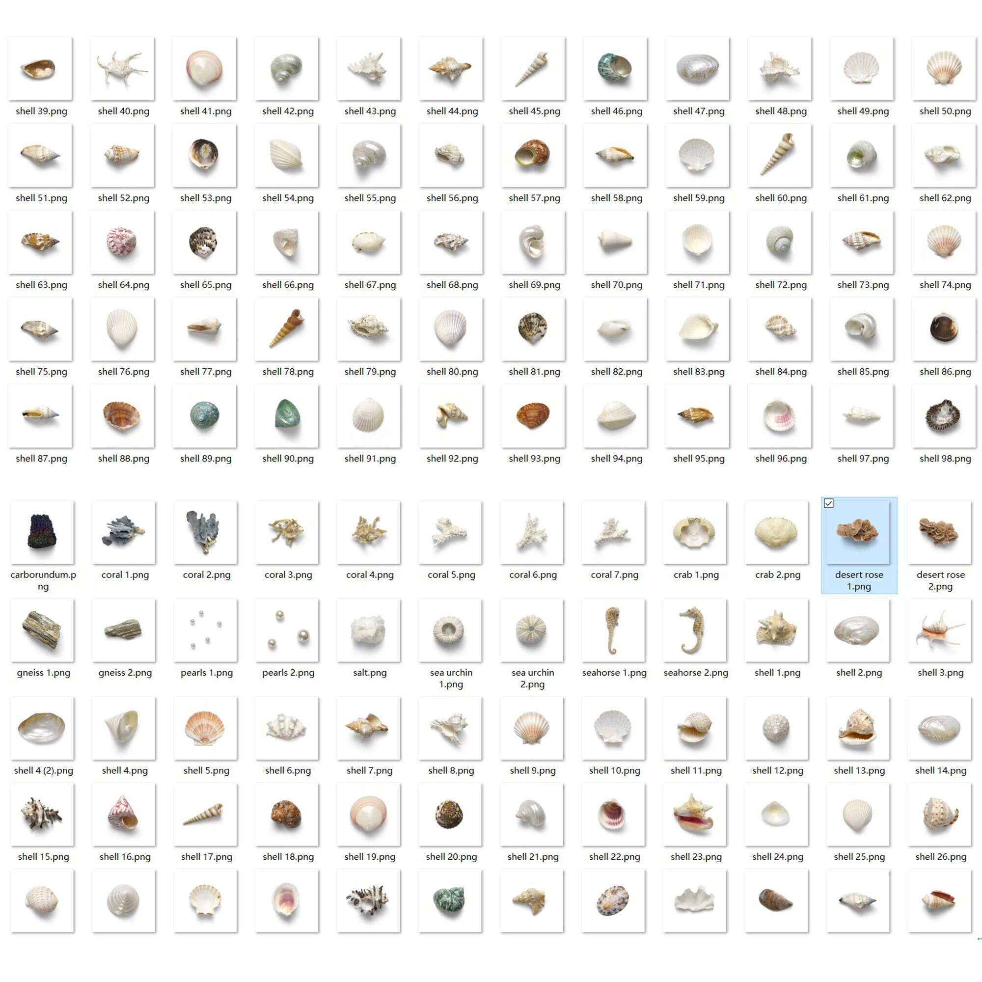 300 Seashell Photoshop Overlays, Seashell Overlay, Shell, Beach, Water ...