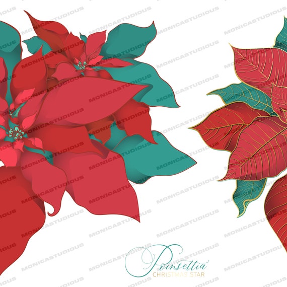 Weihnachtsstern Clipart: Goldfolie Festliche Grafik (PNG/AI) - Etsy.de